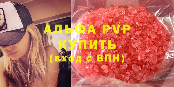 гашик Касимов