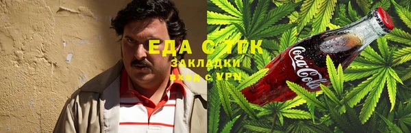 гашик Касимов