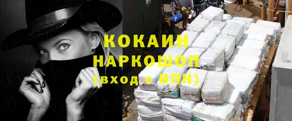 гашик Касимов